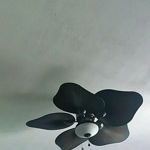 Meet your Posher, Hannag